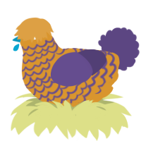 A orange and overcast chicken with a lace pattern