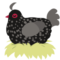 A sable and grey chicken with a speckle pattern