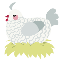 A white and silver chicken with a lace pattern
