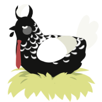 A black and white chicken with a half-lace pattern