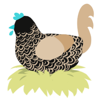 A black and beige chicken with a double-lace pattern