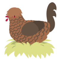 A brown and bark chicken with a lace pattern