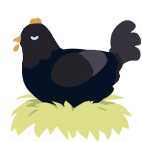 A cream and silver chicken with a head pattern
