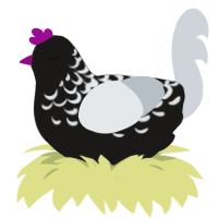 A sable and mist chicken with a half-lace pattern