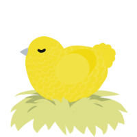 Duckie, a yellow chicken with a lace pattern