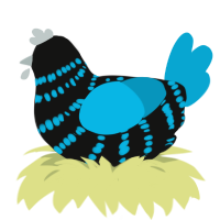 A black and cerulean chicken with a bar pattern