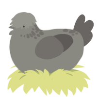 A ash and grey chicken with a neck-speckle pattern