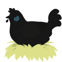 A black chicken with a half-bar pattern