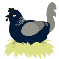 A tumblr and ash chicken with a neck-band pattern