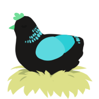 A sable and aqua chicken with a neck-band pattern