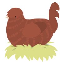 (unnamed), a russet chicken with a bar pattern