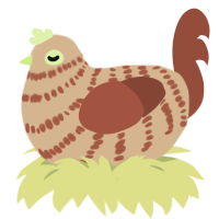 (unnamed), a beige and russet chicken with a bar pattern