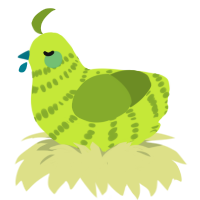 A lime and chartreuse chicken with a bar pattern