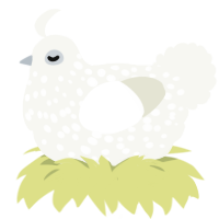 A white chicken with a speckle pattern
