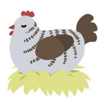 A mist and bark chicken with a half-bar pattern