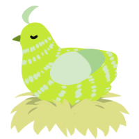 Spring Bean, a lime and gluppy chicken with a bar pattern