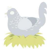 A mist chicken with a half-lace pattern