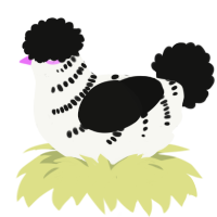 Speckles, a white and black chicken with a half-bar pattern