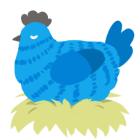 A sky and sapphire chicken with a bar pattern