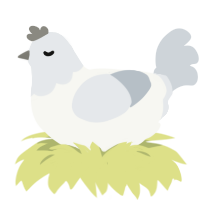 A white and mist chicken with a head pattern