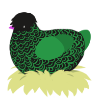 A sable and viridian chicken with a double-lace pattern