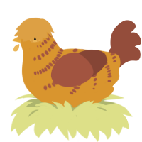 A orange and russet chicken with a half-bar pattern