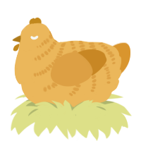 A honey and orange chicken with a half-bar pattern