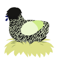 A black and apple chicken with a double-lace pattern
