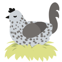 A mist and grey chicken with a speckle pattern