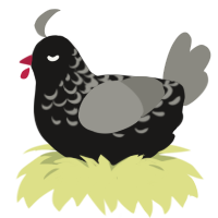 (unnamed), a sable and ash chicken with a half-lace pattern