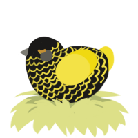 A sable and yellow chicken with a lace pattern