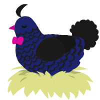 A navy and sable chicken with a lace pattern