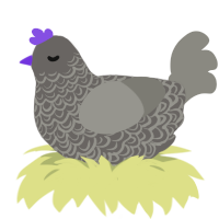 Staub, a grey and ash chicken with a double-lace pattern