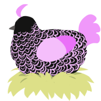 A black and lavender chicken with a double-lace pattern