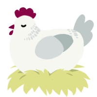 (unnamed), a white and silver chicken with a neck-band pattern