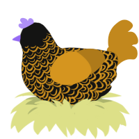 A black and ochre chicken with a double-lace pattern