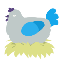 Handrem, a silver and sky chicken