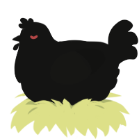 A black chicken