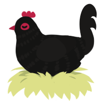 A black and sable chicken with a bar pattern