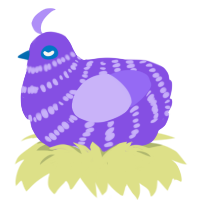 A blurple and lilac chicken with a bar pattern