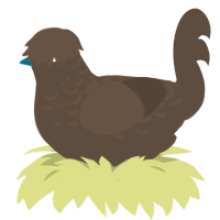 Roasted Barley, a bark chicken with a half-lace pattern