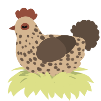Caramel Choc Chip, a beige and bark chicken with a speckle pattern