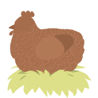 Surf N Turf, a brown chicken with a double-lace pattern