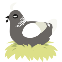 A grey and white chicken with a neck-band pattern