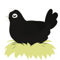 Noir, a sable and black chicken with a half-lace pattern