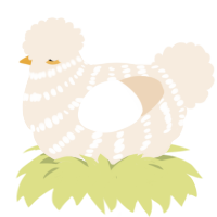 Baklawa, a cream chicken with a bar pattern
