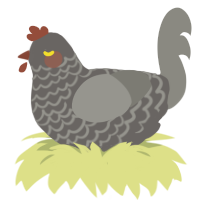 A grey and ash chicken with a lace pattern