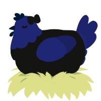Sheratan, a black and navy chicken with a head pattern