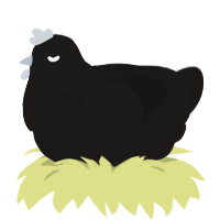(unnamed), a sable chicken with a head pattern