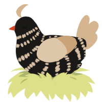 A sable and beige chicken with a bar pattern